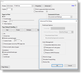 advanced print setup